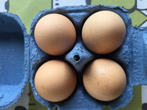 Large light brown cream chicken eggs