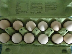 black silkie chicken eggs