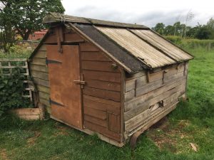 old chicken coop