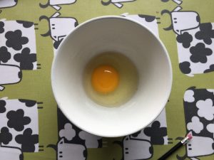 Polish chicken egg
