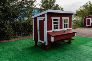 sturdy walk in chicken coop