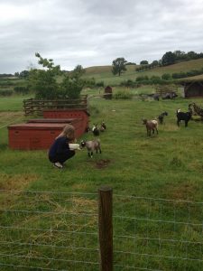 Mobile chicken coop with wheels