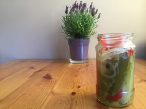 Home made fermented cucumber pickles