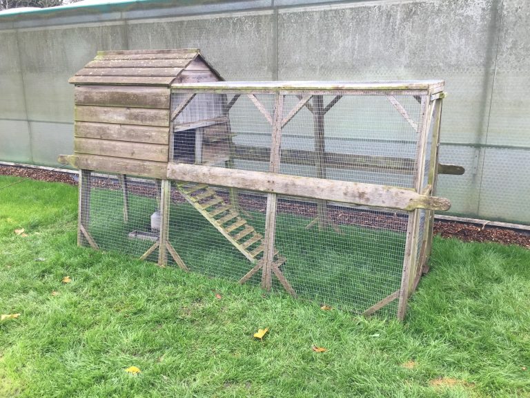 Best Chicken Tractor with Wheels Must Read Chicken Tractor Review