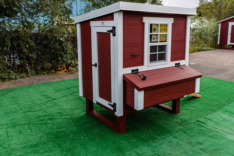 The Best Chicken Coop for 4 Chickens