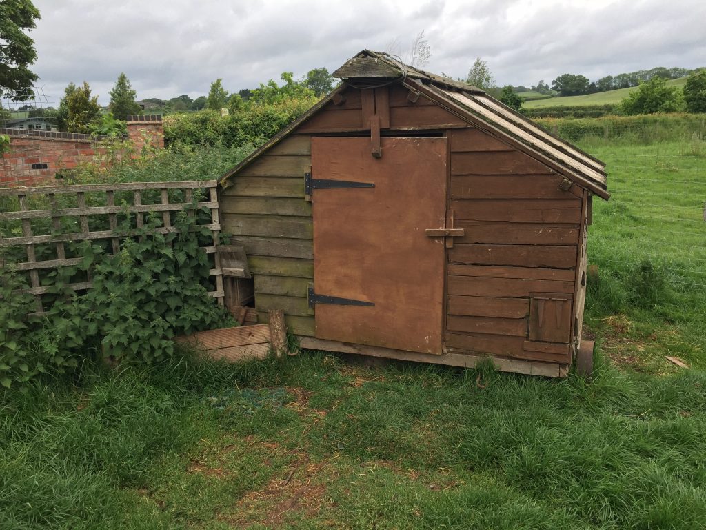 old large walk in chicken coop