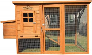 pets imperial chicken coop for 4 chickens