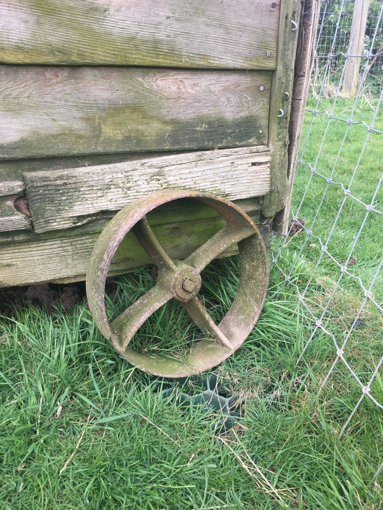 Chicken Tractor Wheels [TOP 3 to Buy & WHY]