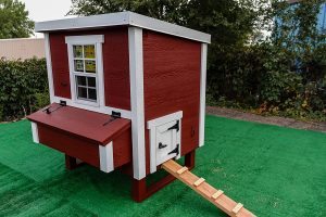 OverEz medium chicken coop