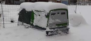 Omlet Elgu Cube in snow