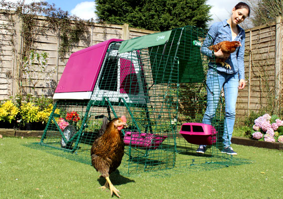 eglu go up portable chicken coop