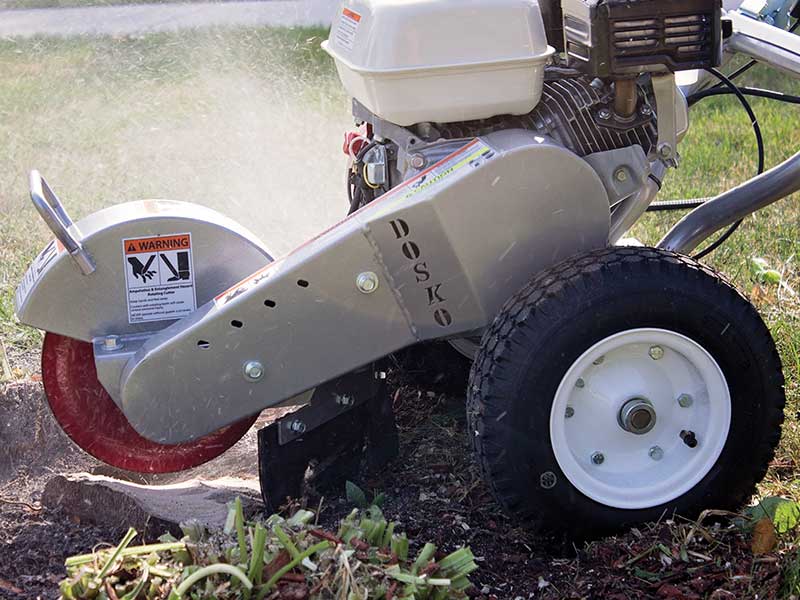 BEST 7 Stump Grinders Compact, Small, Large, Cheap, Professional