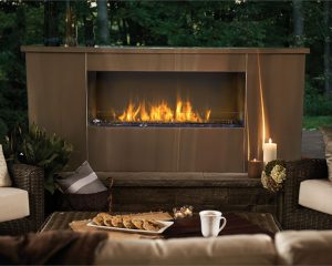 napoleon outdoor gas fireplace