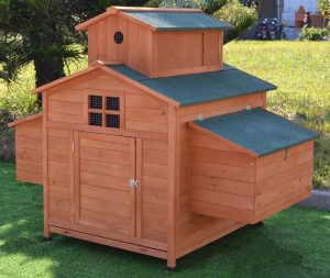 Omitree Deluxe Large Chicken Coop