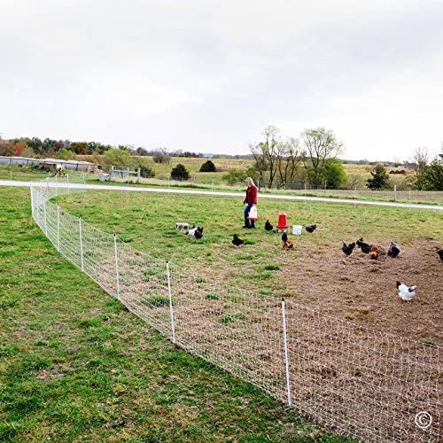 electric poultry netting